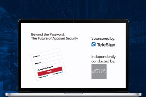 Beyond the password: The future of account security
