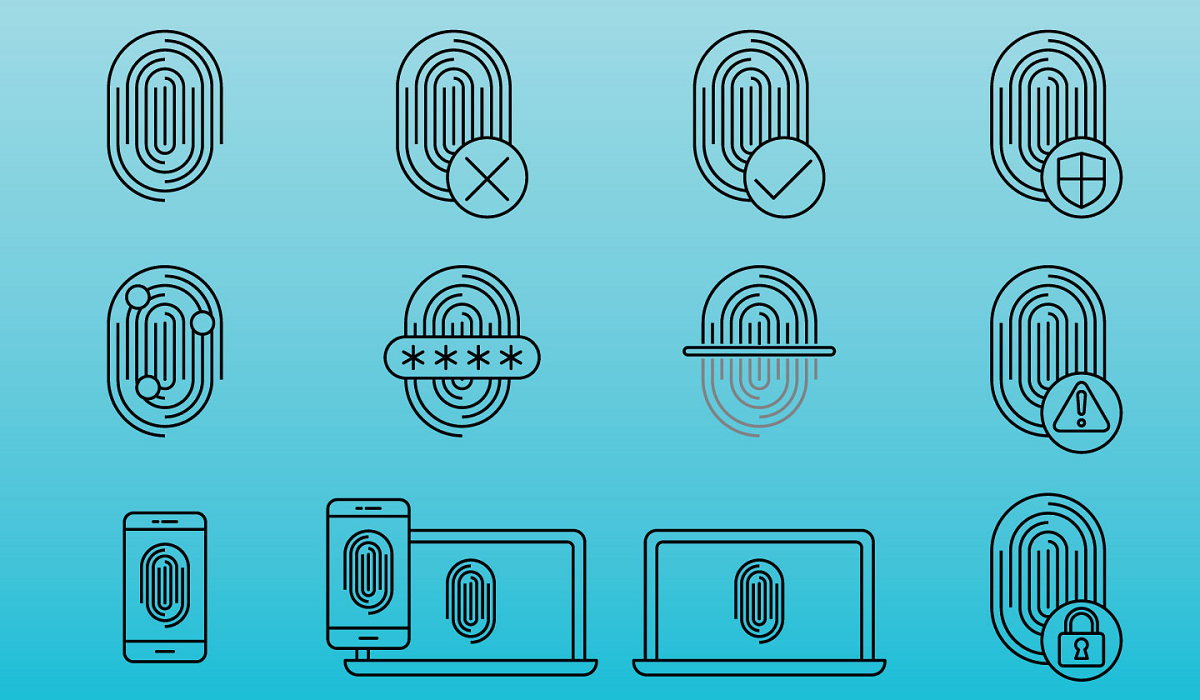 An illustrated image of different biometric fingerprints.